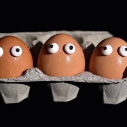 Comment agir contre le suremballage ? Le cas de la boîte à oeufs...