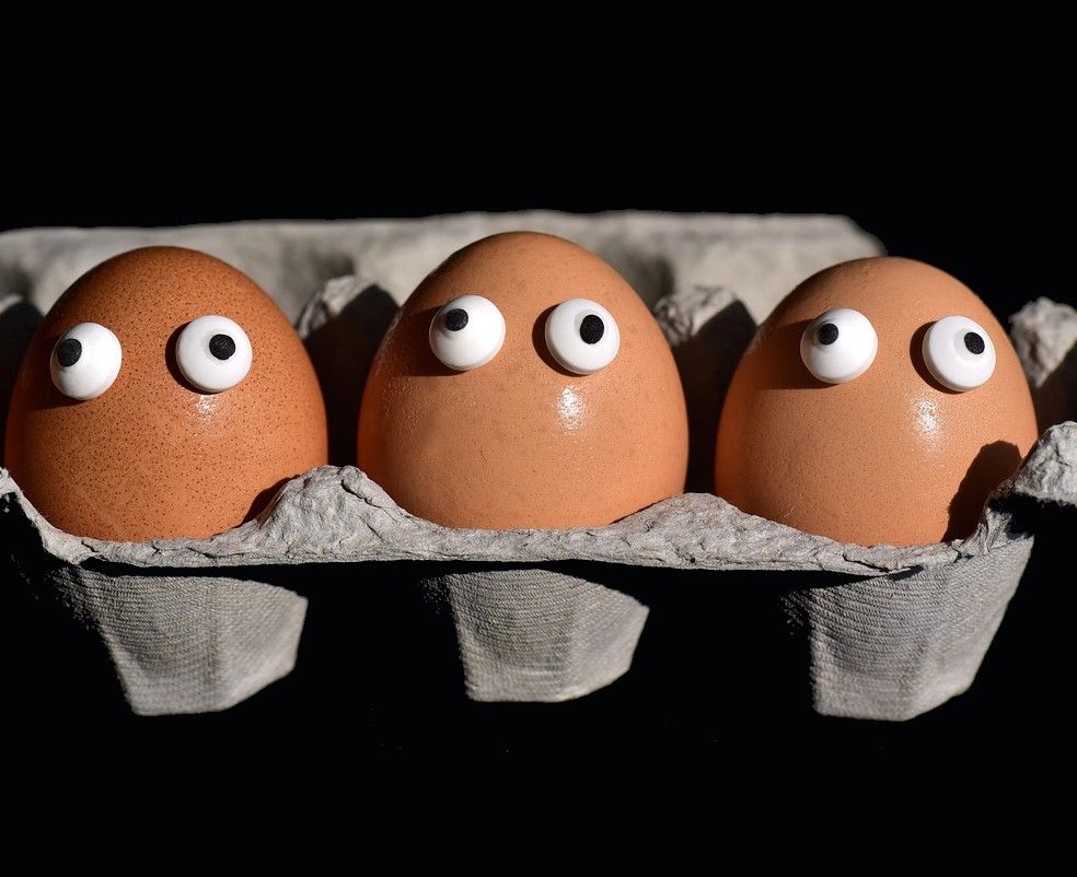 Comment agir contre le suremballage ? Le cas de la boîte à oeufs...