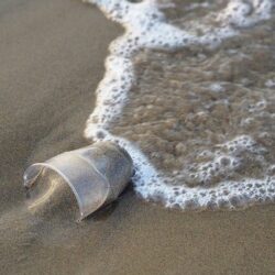 Défis Zéro Déchet acceptés !