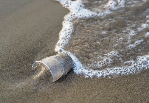 Défis Zéro Déchet acceptés !